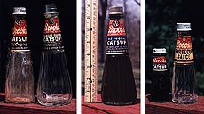 brooks catsup bottle labels